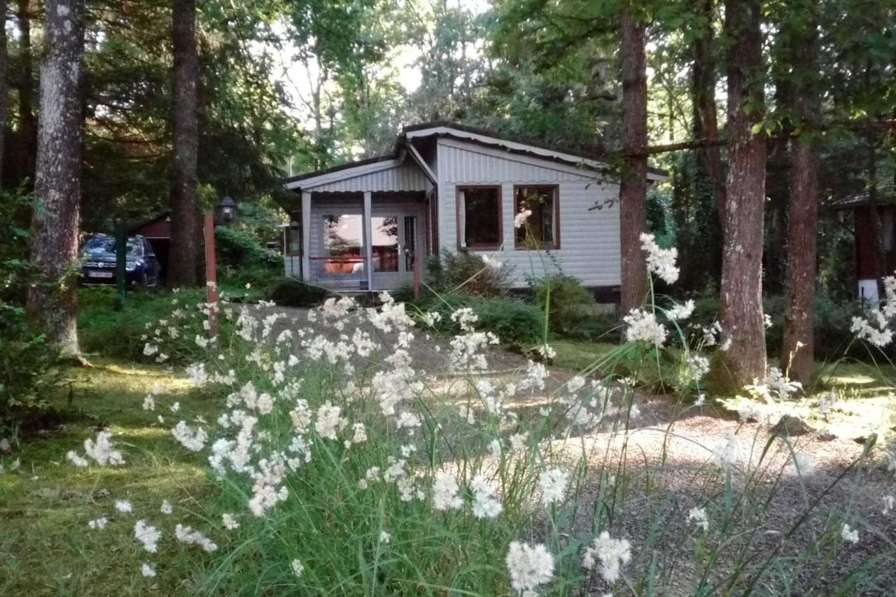 Chalet Siesta Is Rust & Natuur In Durbuy - Barvaux-Sur-Ourthe Esterno foto