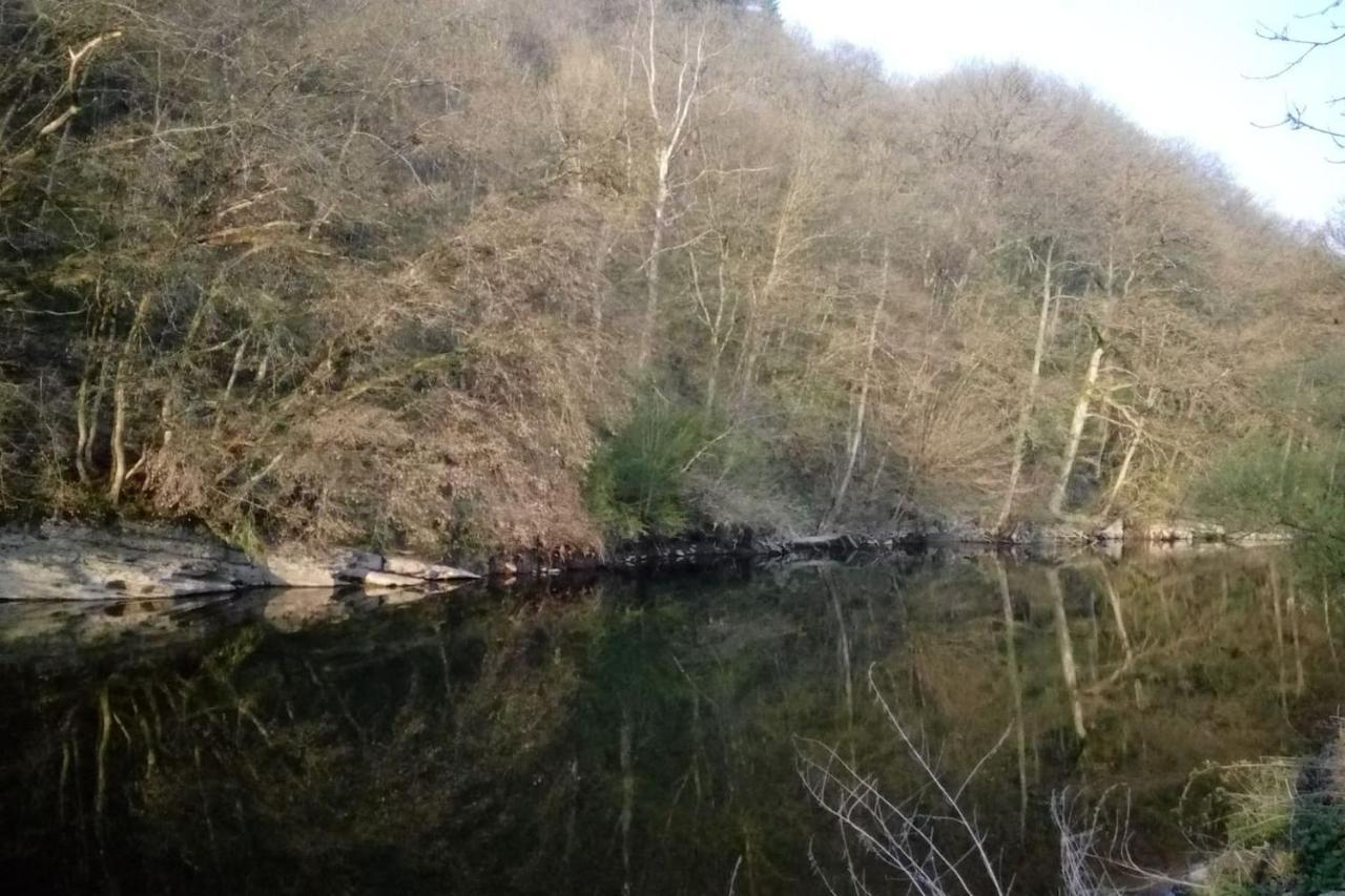 Chalet Siesta Is Rust & Natuur In Durbuy - Barvaux-Sur-Ourthe Esterno foto
