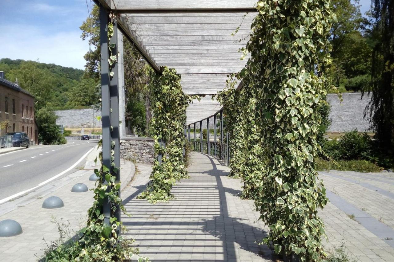 Chalet Siesta Is Rust & Natuur In Durbuy - Barvaux-Sur-Ourthe Esterno foto