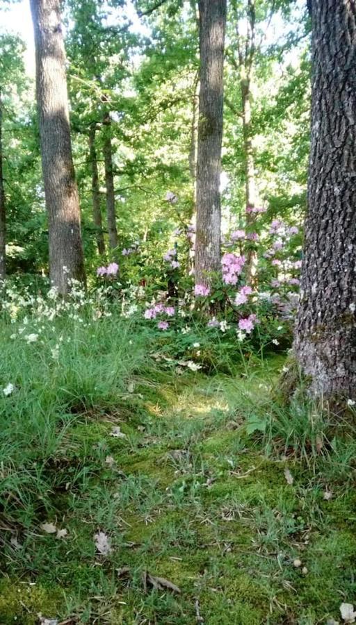Chalet Siesta Is Rust & Natuur In Durbuy - Barvaux-Sur-Ourthe Esterno foto
